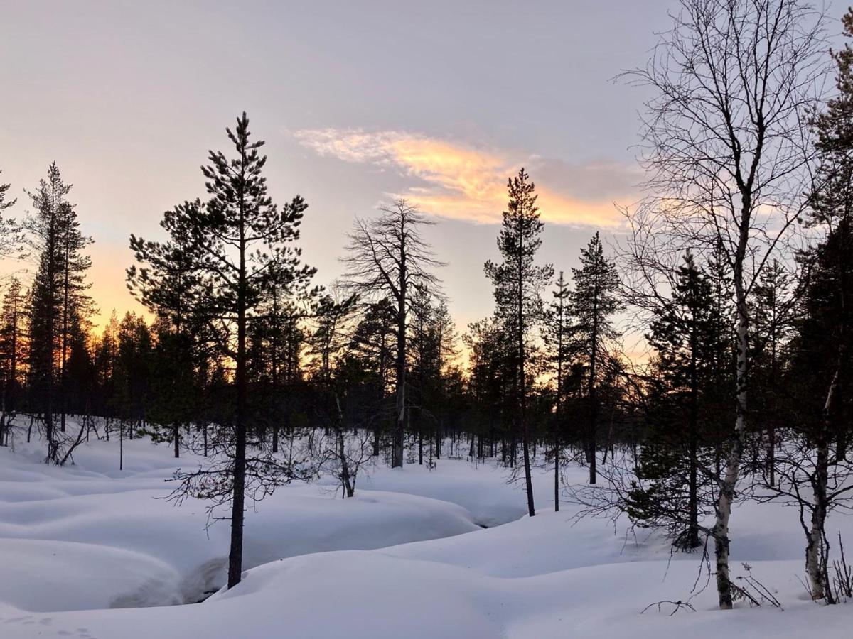Kuukkeli Log Houses Aurora Cabin - Jaspis Saariselka Exteriér fotografie